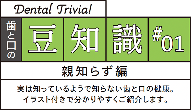 歯と口の豆知識#01