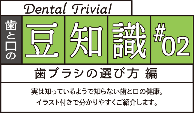 歯と口の豆知識#02